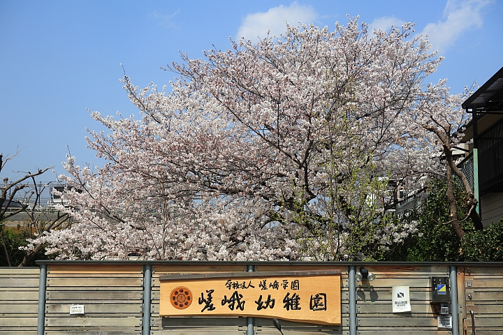 (映像旅行) 陌生中熟悉的京都、奈良 feat. Canon EOS M6 & Canon PowerShot G1X Mark III