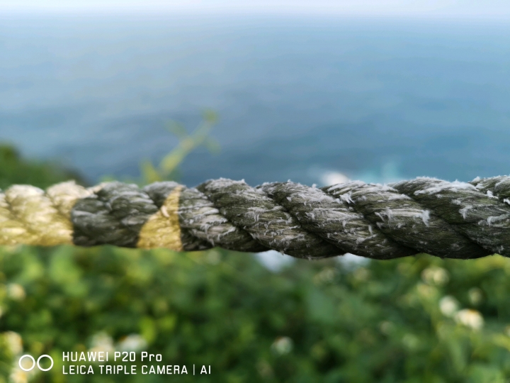 [來蓋大樓吧] Huawei P20 Pro AI 三攝實拍