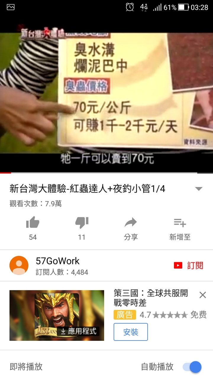 原來這就是野生的紅蟲