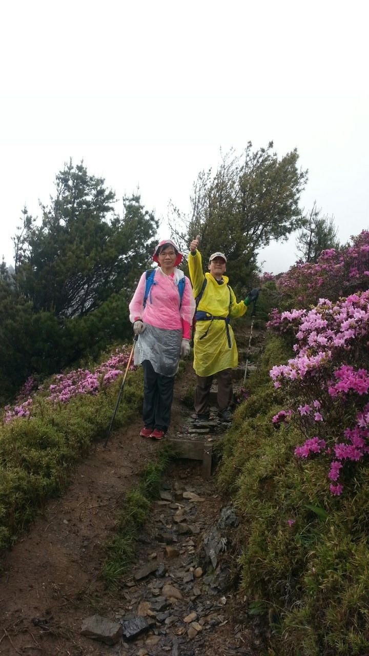 桃山喀拉業單日來回行程記錄(105/6/10)