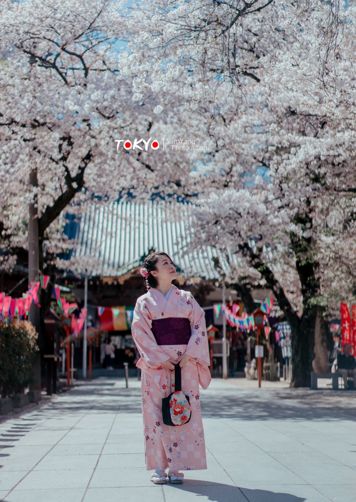 2018東京賞櫻盛宴 x Sony a7II