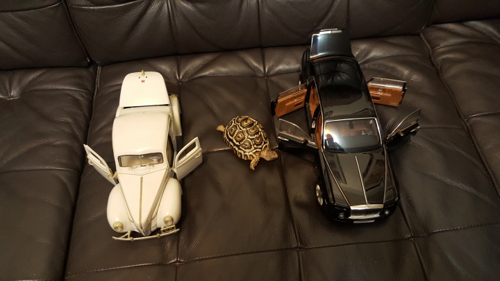 rolls royce 18/1模型車跟以前買的一輛福特古董車一起拍