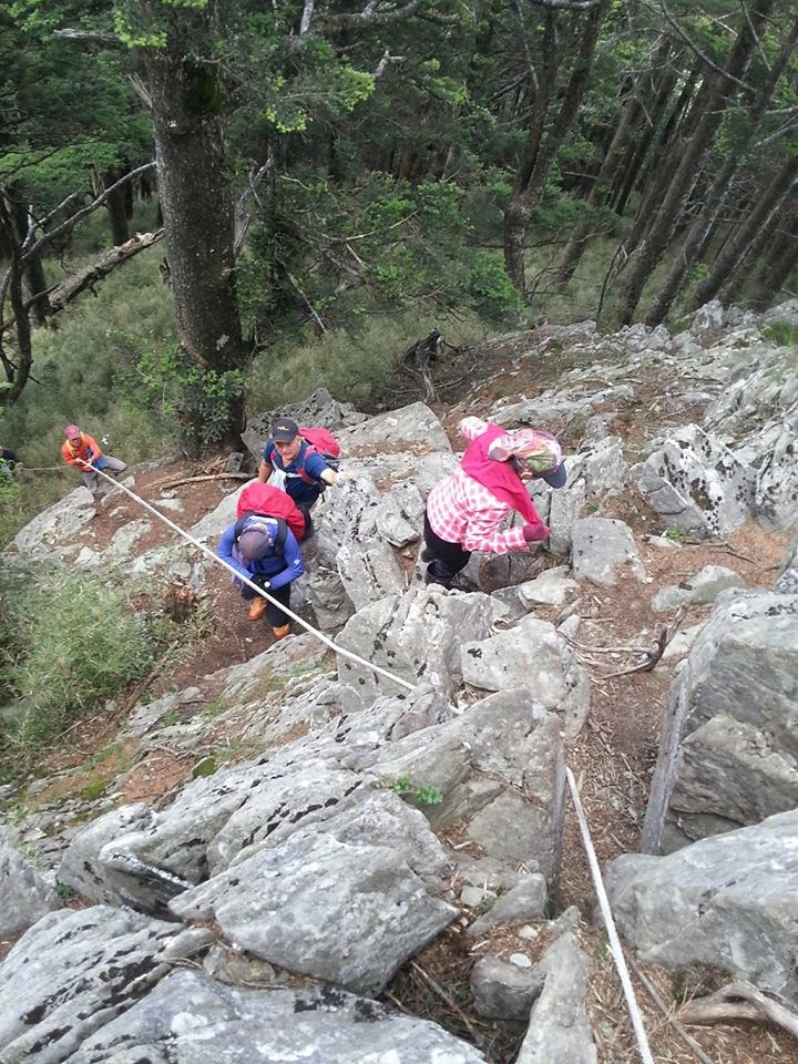 屏風山(新路)單日來回行程記錄(105/7/2)
