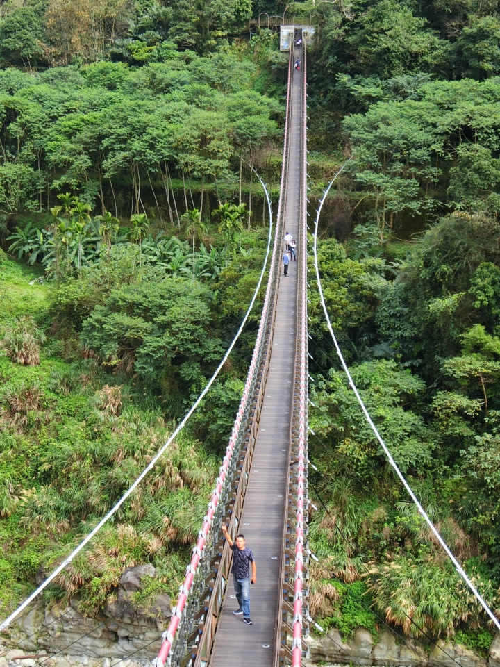 阿里山「南三村」【嘉129線】吊橋探索