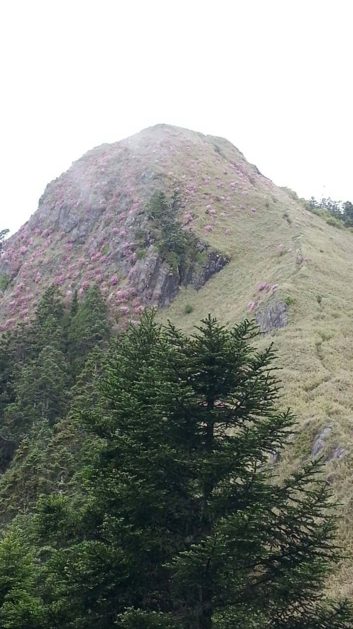 桃山喀拉業單日來回行程記錄(105/6/10)