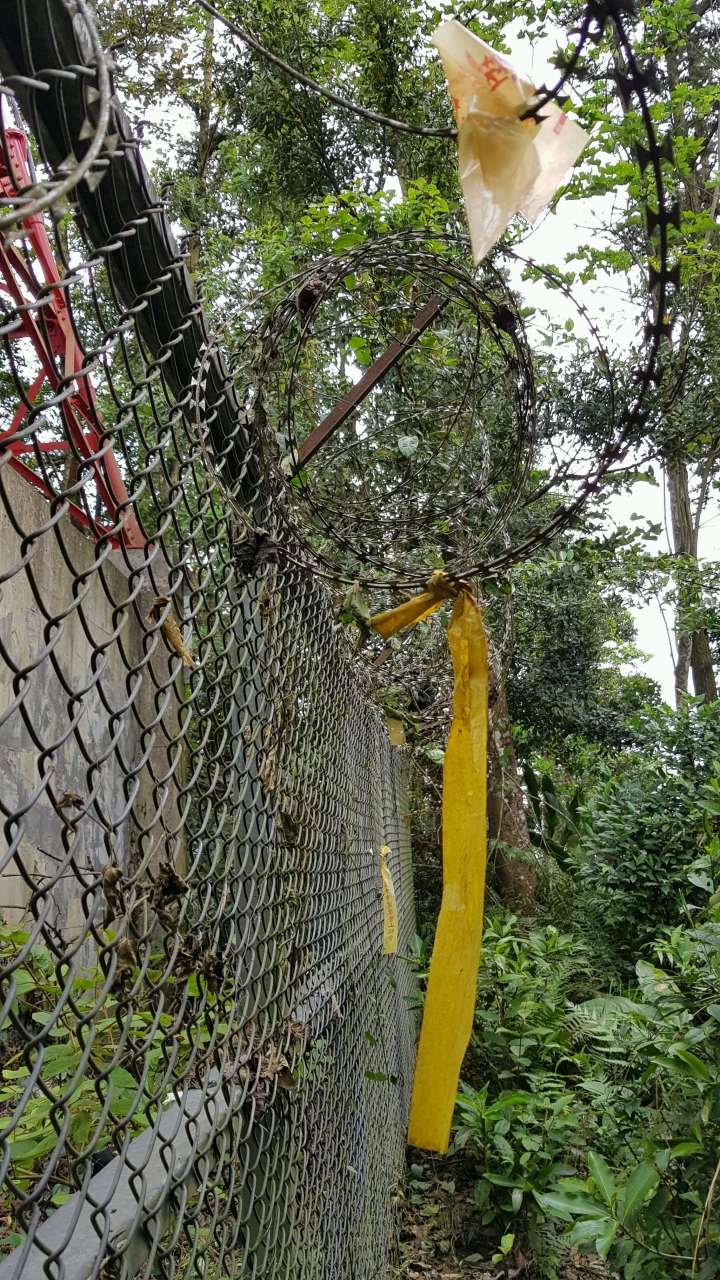 神仙縱走 桃牛坪山封路