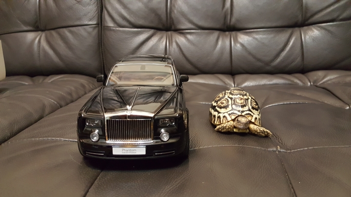 rolls royce 18/1模型車跟以前買的一輛福特古董車一起拍