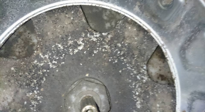 DIY清洗東元W1589XN洗衣機