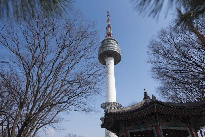 [D750+D500] 四月春櫻_首爾