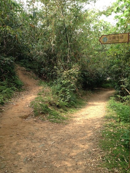 【健行】 仁和步道 金獅步道