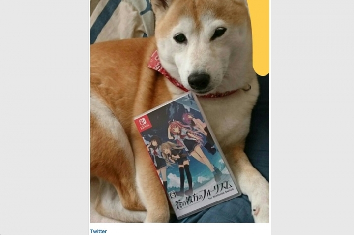 Switch首款Galgame蒼之彼方開箱
