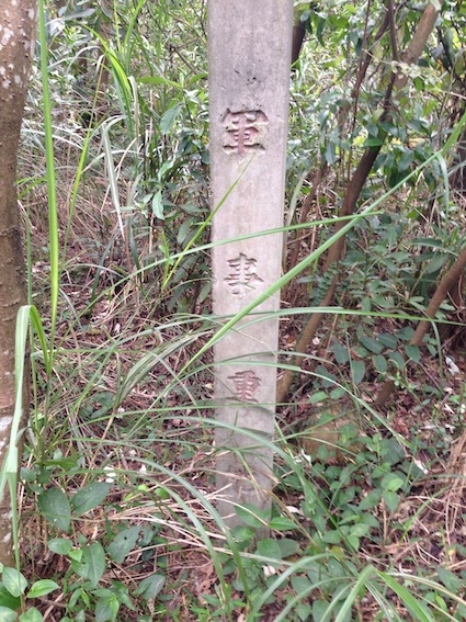 【健行】 仁和步道 金獅步道