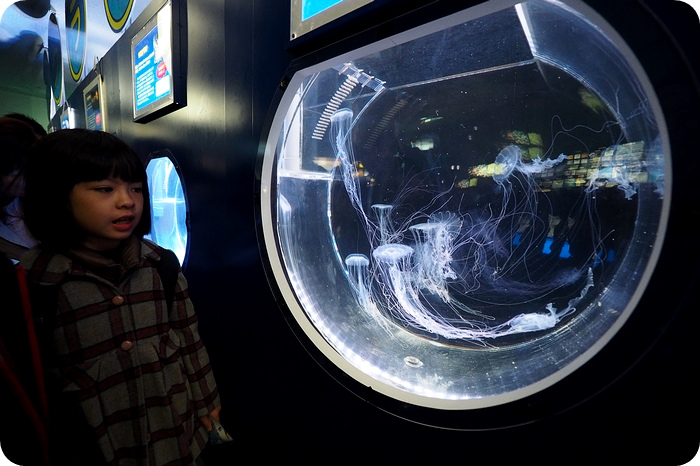 ▋日本名古屋親子自由行 ▋名古屋水族館。有點貴，但又想進去看看的水族館