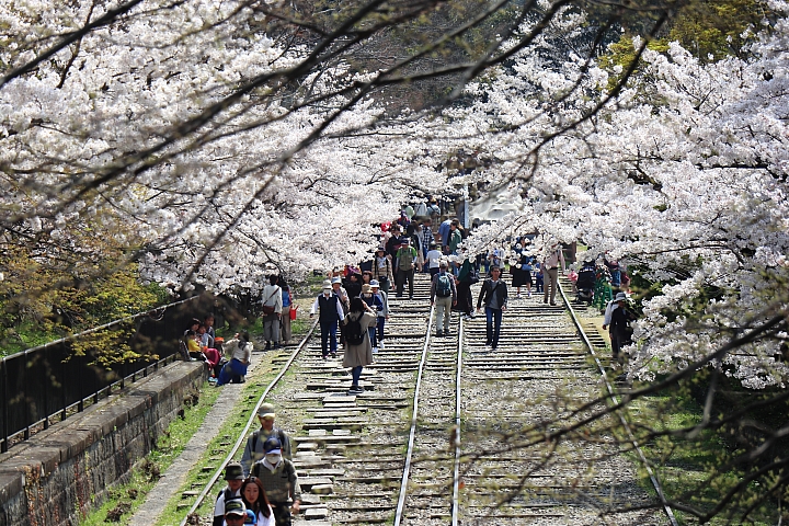 (映像旅行) 陌生中熟悉的京都、奈良 feat. Canon EOS M6 & Canon PowerShot G1X Mark III