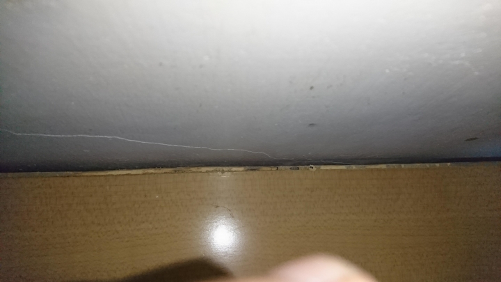 家裡床頭櫃 被蟲蛀  有辦法解決嗎