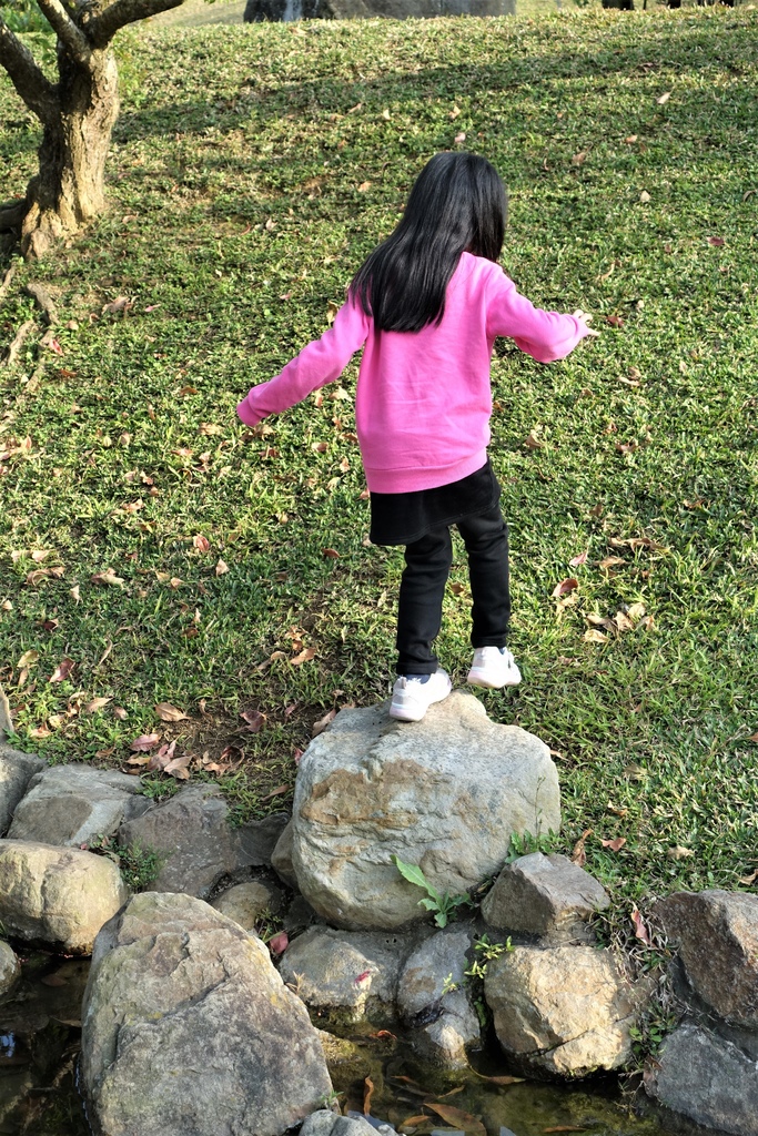 <苗栗>讓全家慵懶一下午的苗栗魔法莊園