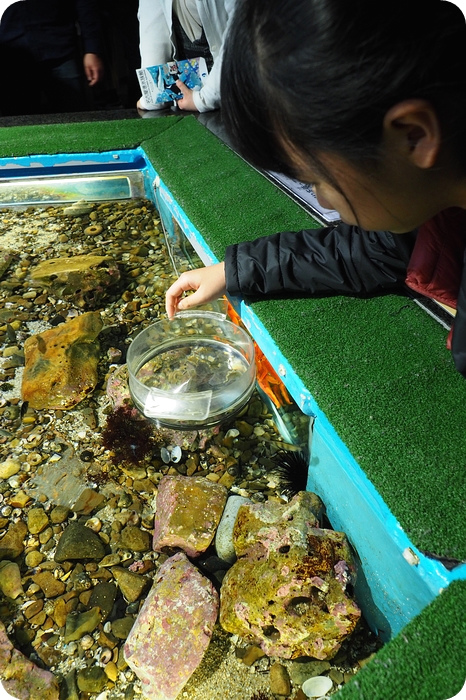 ▋日本名古屋親子自由行 ▋名古屋水族館。有點貴，但又想進去看看的水族館