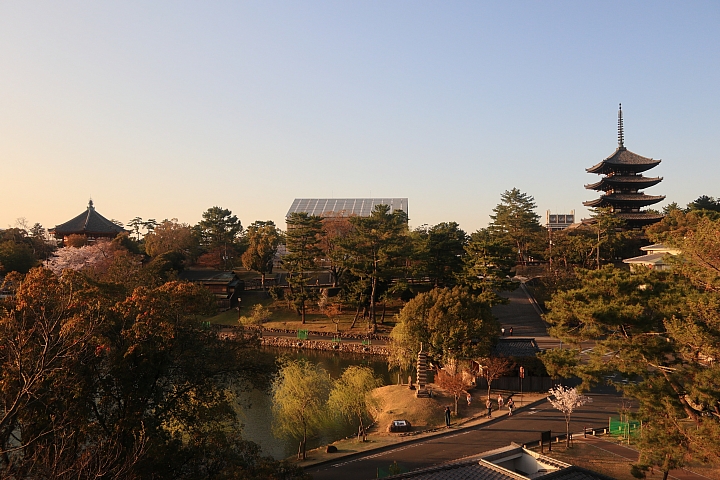 （映像分享）偶而！拋棄重量旅行吧！ feat. Canon PowerShot G1X Mark III~~~圖多字多