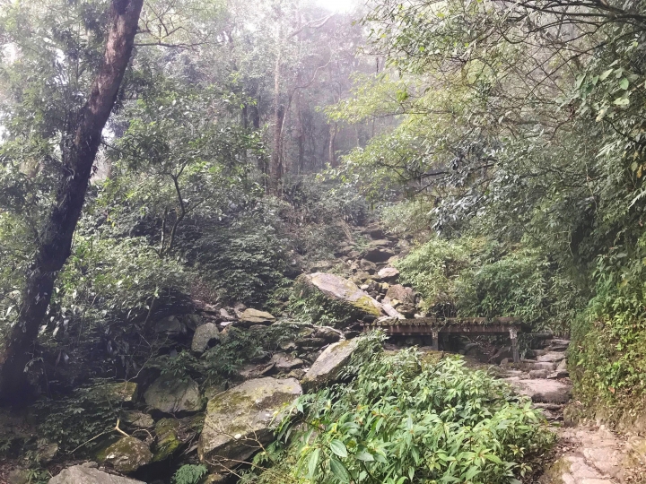 差點在北大武發生山難?!初登百岳新手爛咖!