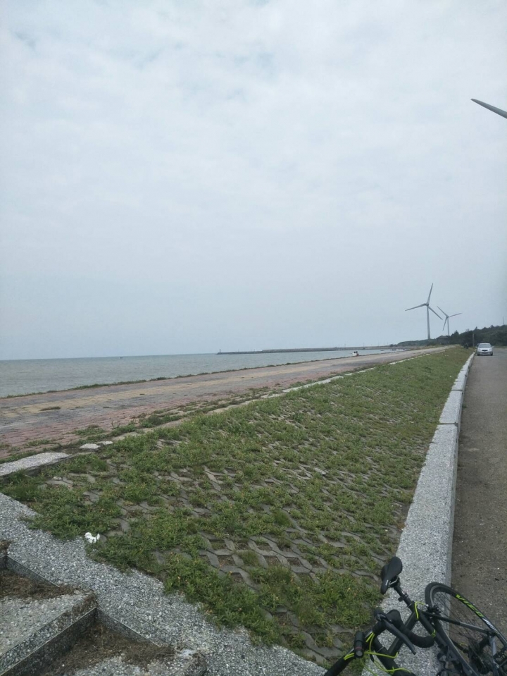 騎小胖逛一天