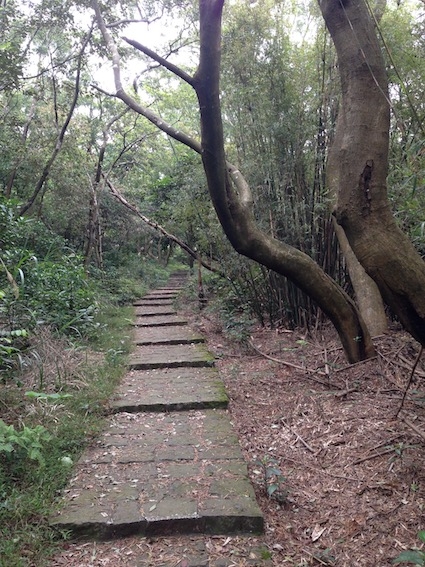 【健行】 仁和步道 金獅步道