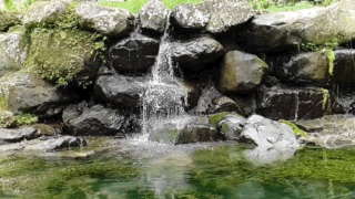 【圖片多,請慢慢欣賞】DxOMark 99高分的三星Galaxy S9+ 超強的拍攝隨身機,沒有之一