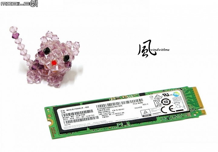 追求M.2 SSD效能極限 - SAMSUNG PM981 1TB雙平台實測