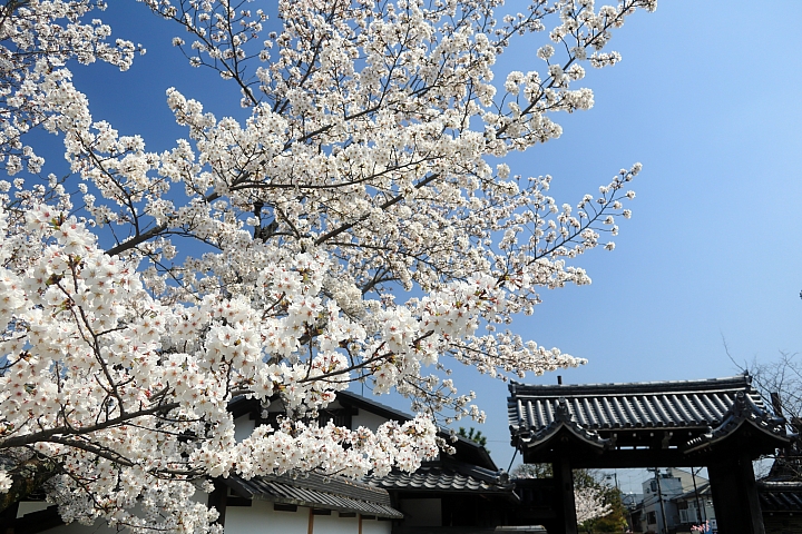 （映像分享）偶而！拋棄重量旅行吧！ feat. Canon PowerShot G1X Mark III~~~圖多字多