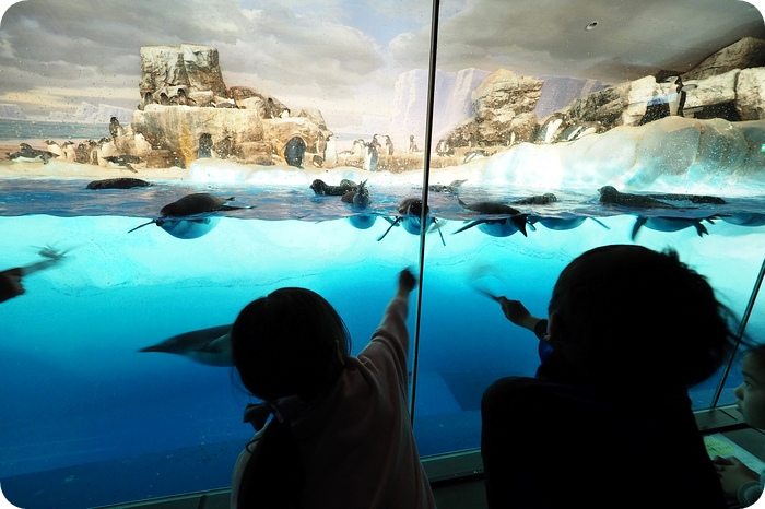 ▋日本名古屋親子自由行 ▋名古屋水族館。有點貴，但又想進去看看的水族館