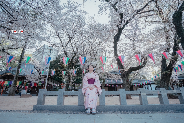 2018東京賞櫻盛宴 x Sony a7II