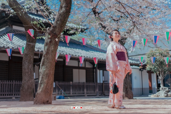 2018東京賞櫻盛宴 x Sony a7II