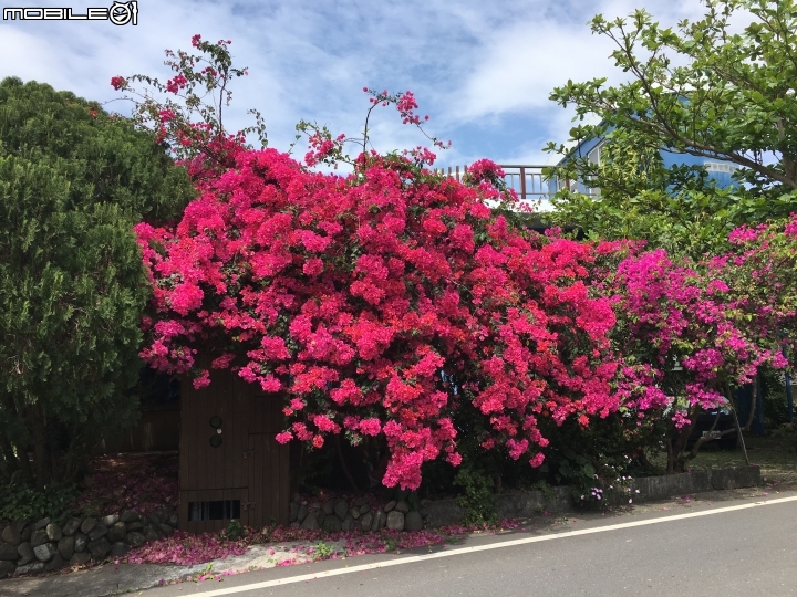 4月連假，花東隨興騎