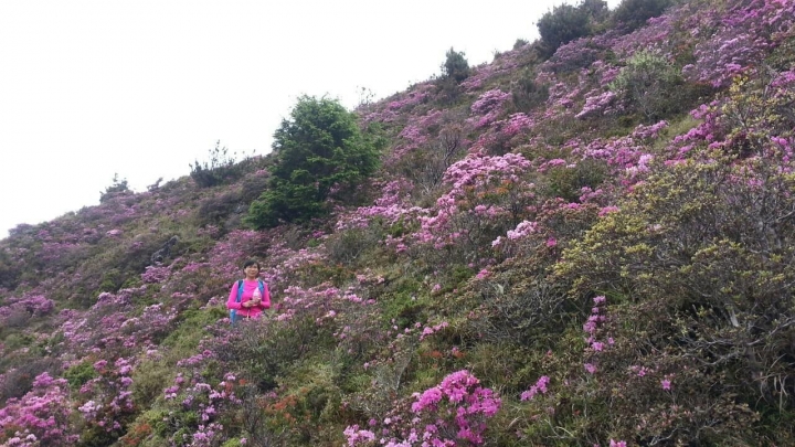 桃山喀拉業單日來回行程記錄(105/6/10)