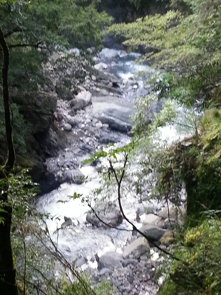 屏風山(新路)單日來回行程記錄(105/7/2)