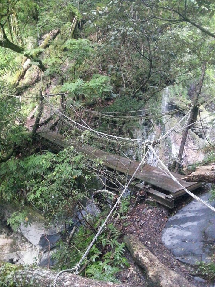屏風山(新路)單日來回行程記錄(105/7/2)