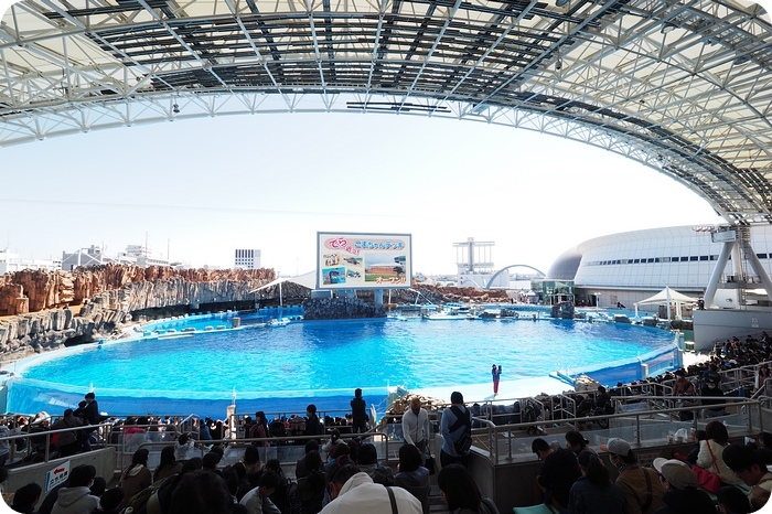 ▋日本名古屋親子自由行 ▋名古屋水族館。有點貴，但又想進去看看的水族館