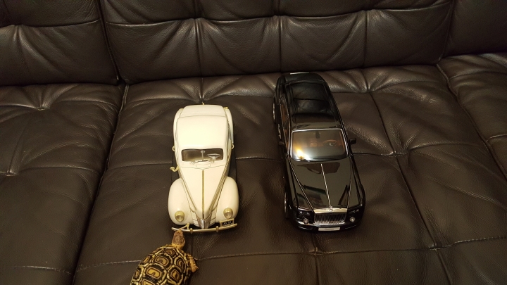 rolls royce 18/1模型車跟以前買的一輛福特古董車一起拍