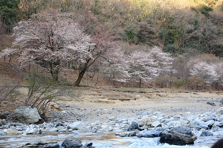(映像旅行) 陌生中熟悉的京都、奈良 feat. Canon EOS M6 & Canon PowerShot G1X Mark III