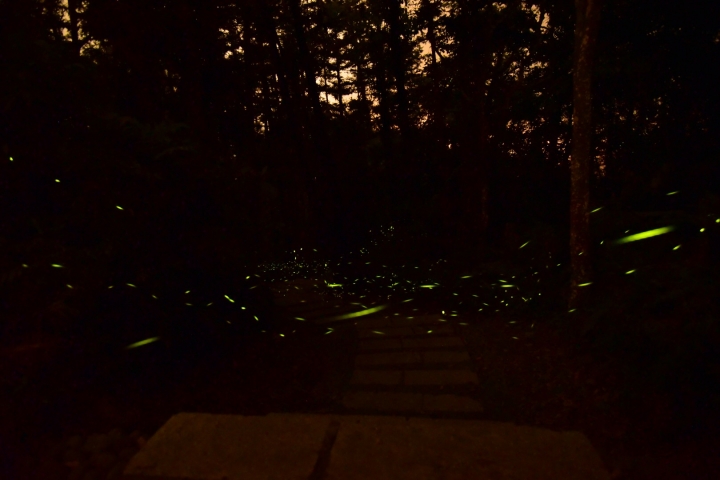 D750夜曝時會出現整面紅光