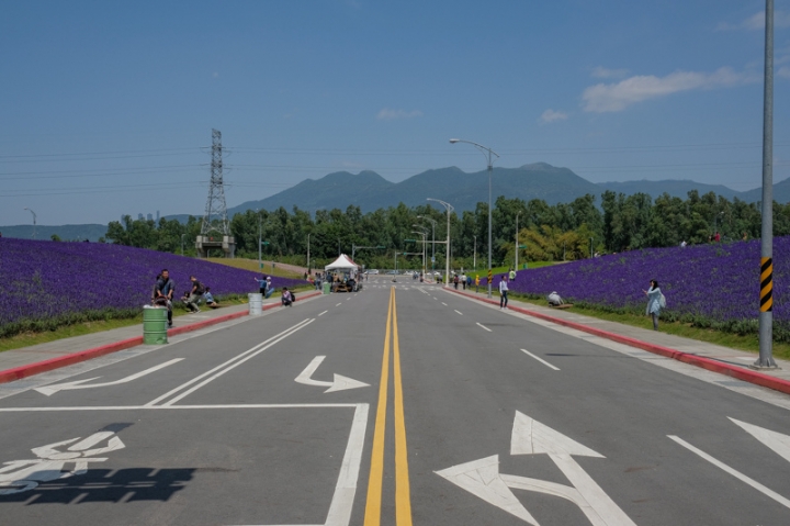 [亂拍照] 淡水紫藤咖啡園一店(屯山園區) + 富貴角燈塔空拍 + 關渡花海節