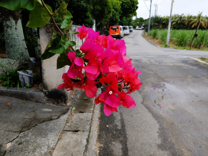 與那國嶼旅遊日記 2018/04/14~18 全集版