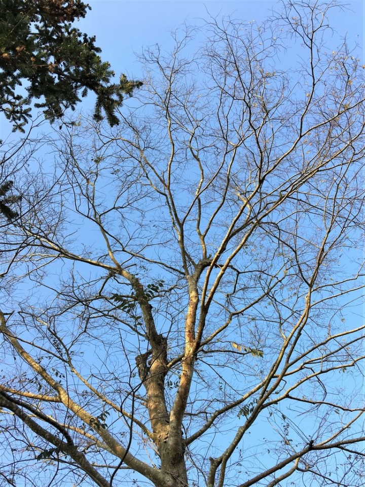 ＜苗栗＞讓全家慵懶一下午的苗栗魔法莊園