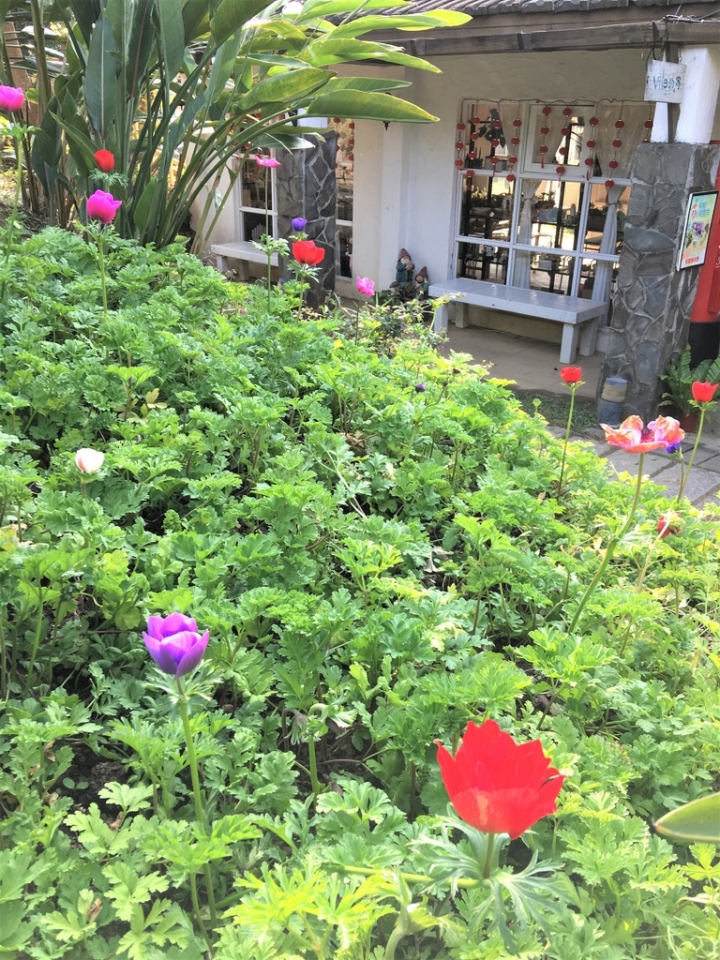 ＜苗栗＞讓全家慵懶一下午的苗栗魔法莊園