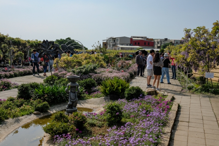 [亂拍照] 淡水紫藤咖啡園一店(屯山園區) + 富貴角燈塔空拍 + 關渡花海節