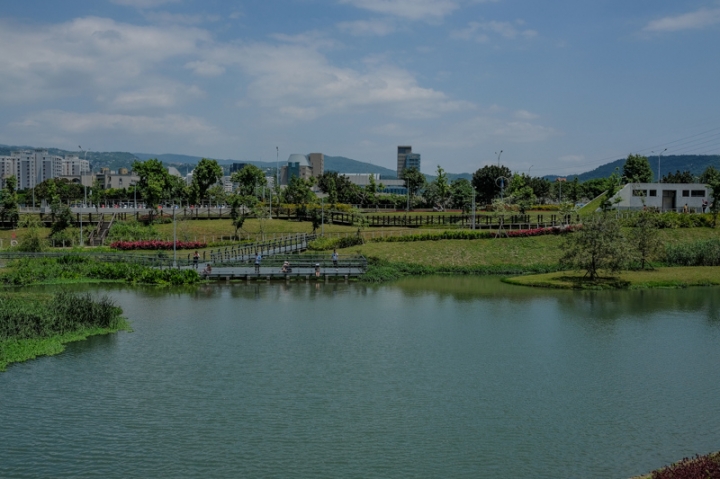 [亂拍照] 淡水紫藤咖啡園一店(屯山園區) + 富貴角燈塔空拍 + 關渡花海節