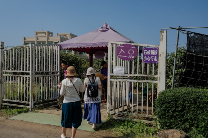 [亂拍照] 淡水紫藤咖啡園一店(屯山園區) + 富貴角燈塔空拍 + 關渡花海節