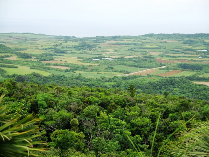 與那國嶼旅遊日記 2018/04/14~18 全集版