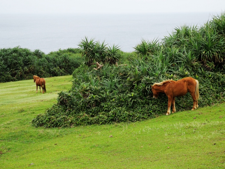 與那國嶼旅遊日記 2018/04/14~18 全集版