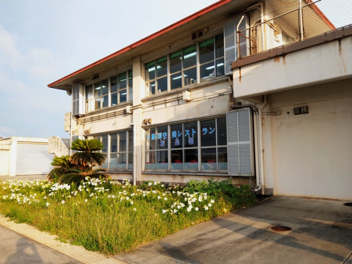 與那國嶼旅遊日記 2018/04/14~18 全集版