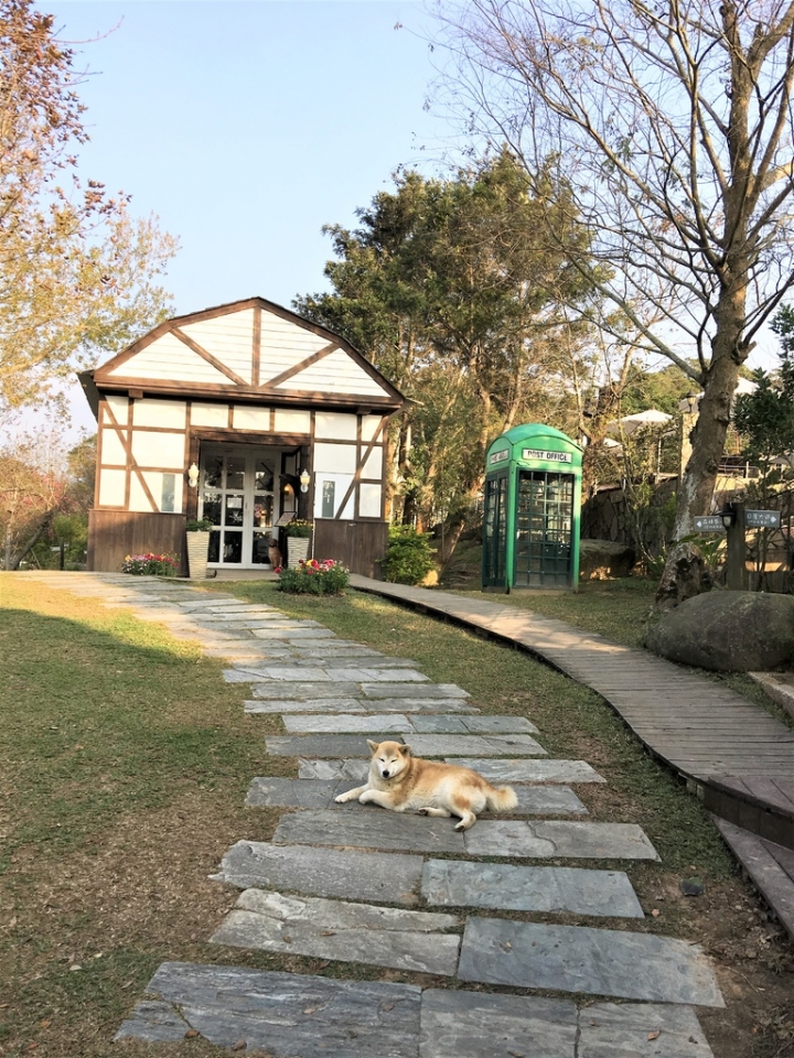 ＜苗栗＞讓全家慵懶一下午的苗栗魔法莊園